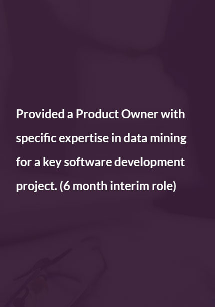 job-3 Text on purple background highlighting involvement as an Interim Executive specialized in data mining for a six-month software development project.